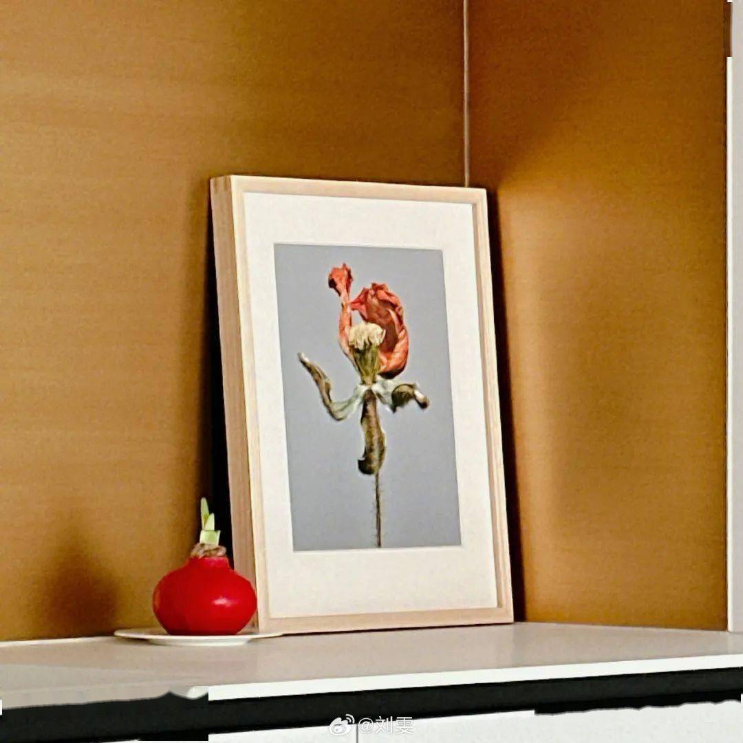 形似怒放的,色彩斑澜的花,悬挂在玄关墙上,绽放的生命力美得像她最