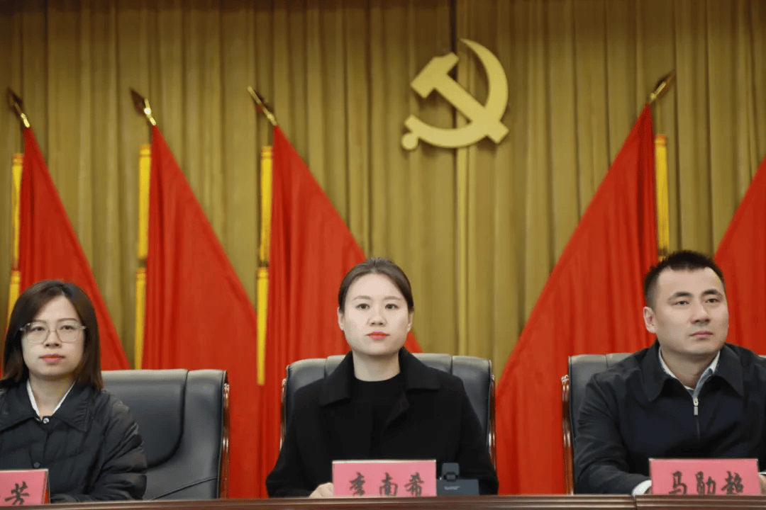 团市委副书记李南希表示:会上,来自龙沙,建华,铁锋三区的14个街道办事