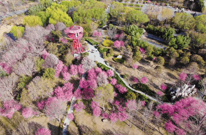 郑州绿博片区图片