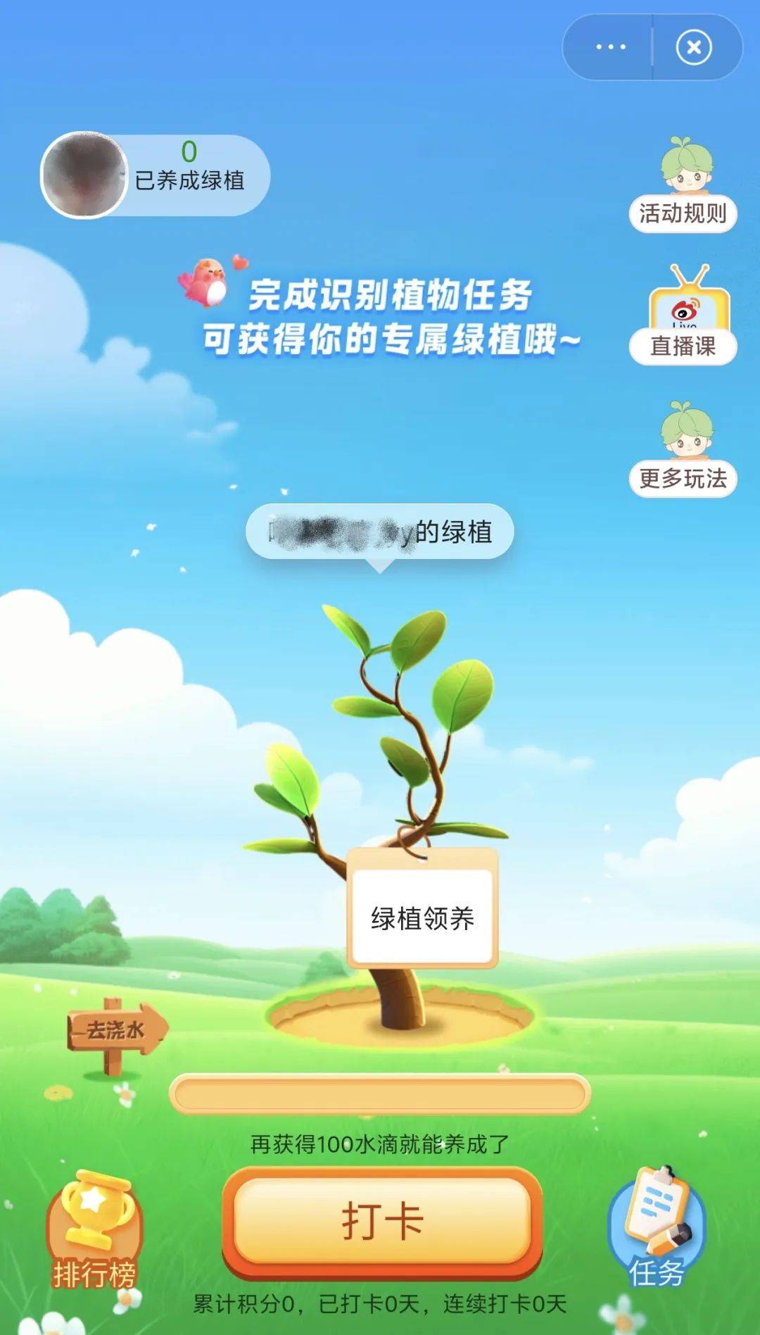 绿植领养活动背景图片