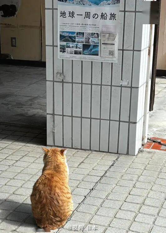 但是你被自动驾驶的车撞了.