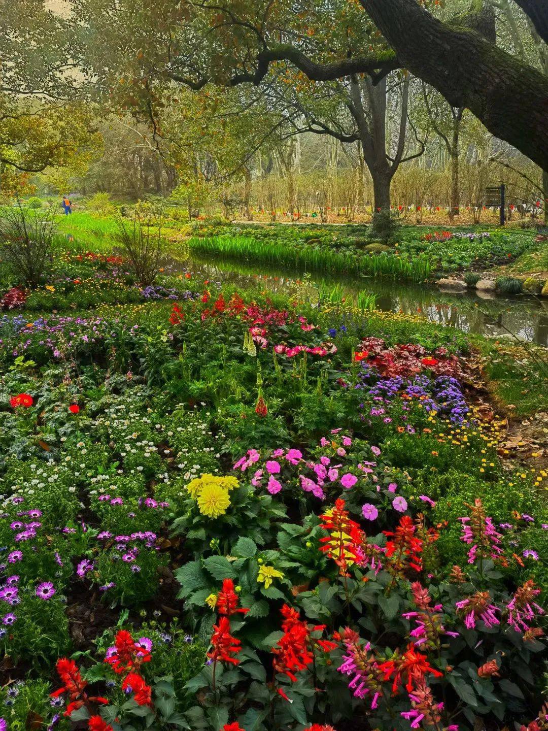 共青森林公园春日的花海盛宴即将拉开序幕现场探秘