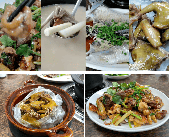 跟着山海勇士出游用脚步丈量五桂山的春天