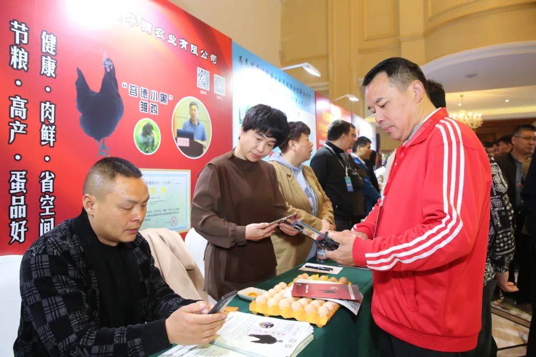 格局与应变未来规模蛋鸡发展与三种行业主流服务模式