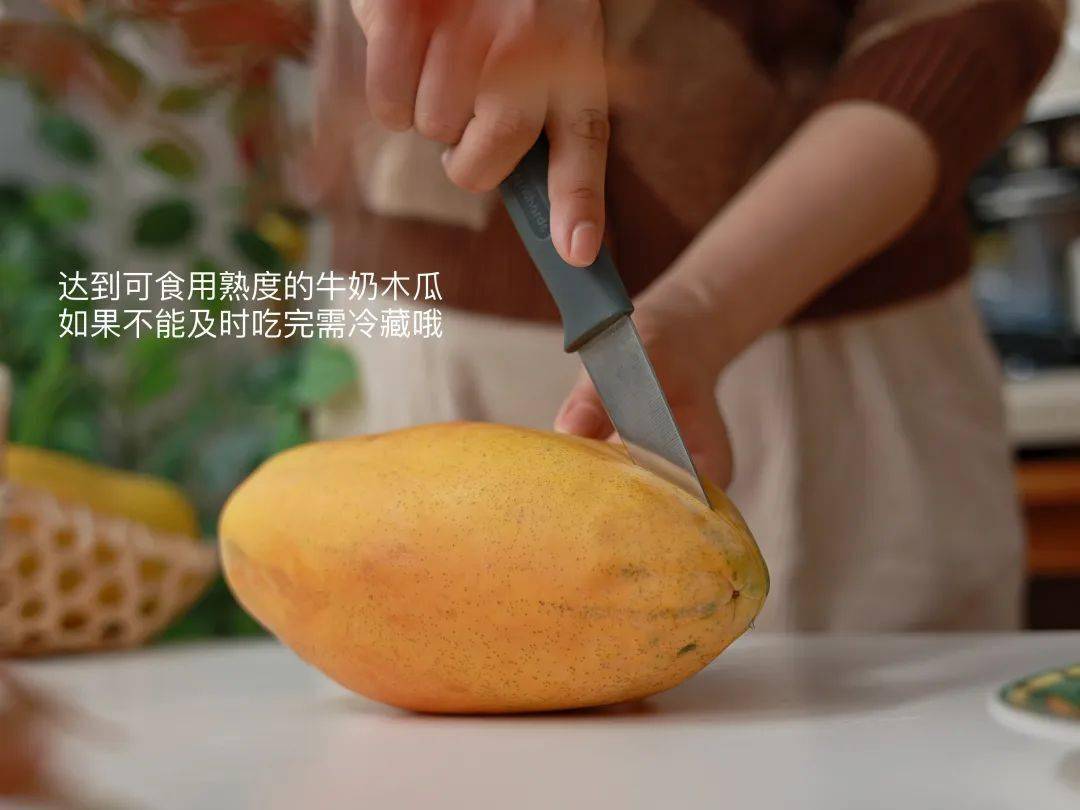 对木瓜的失望一定要在这里重新提起希望呀