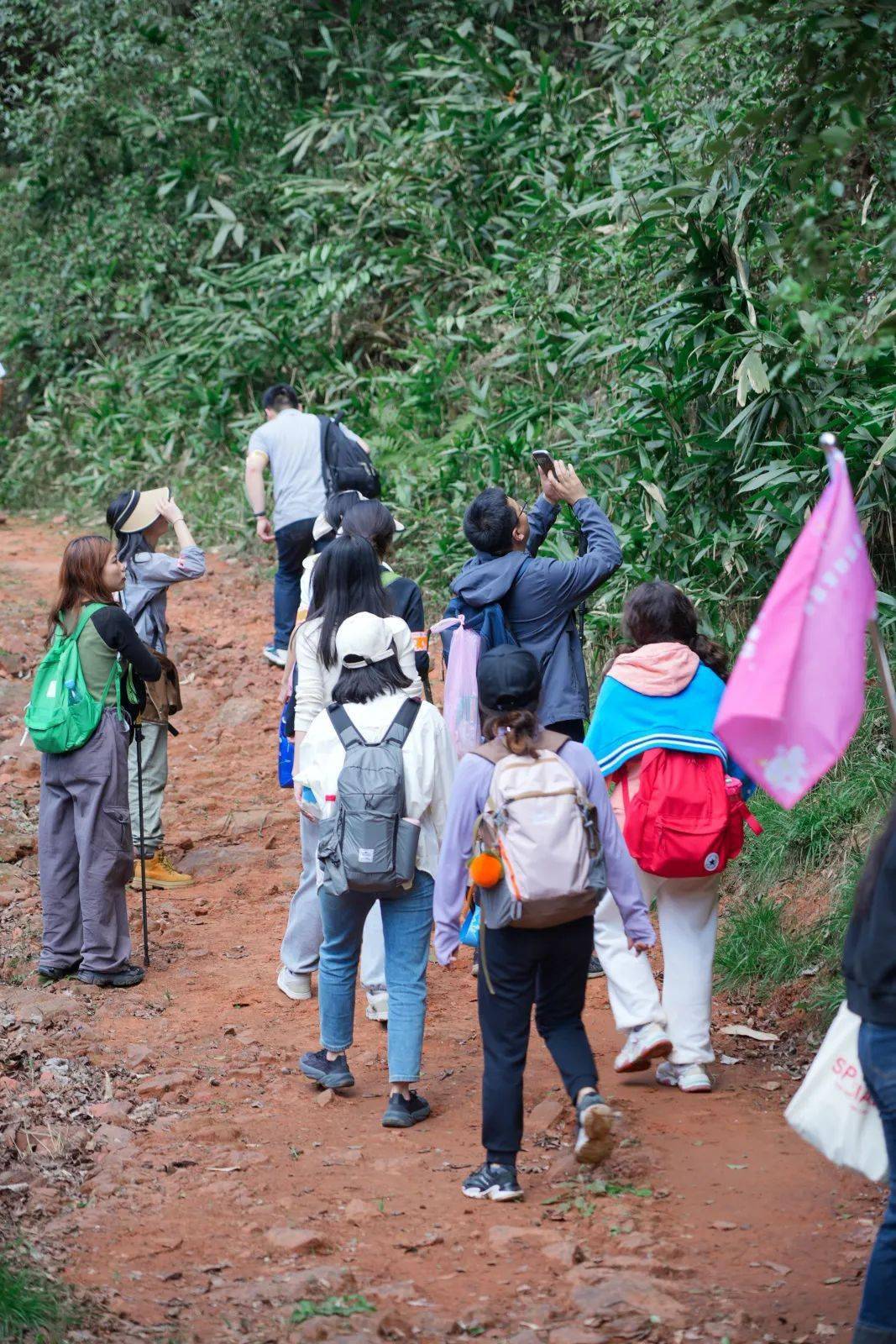 我为青年办实事丨十里秘境青春有约16km徒步超燃瞬间来啦