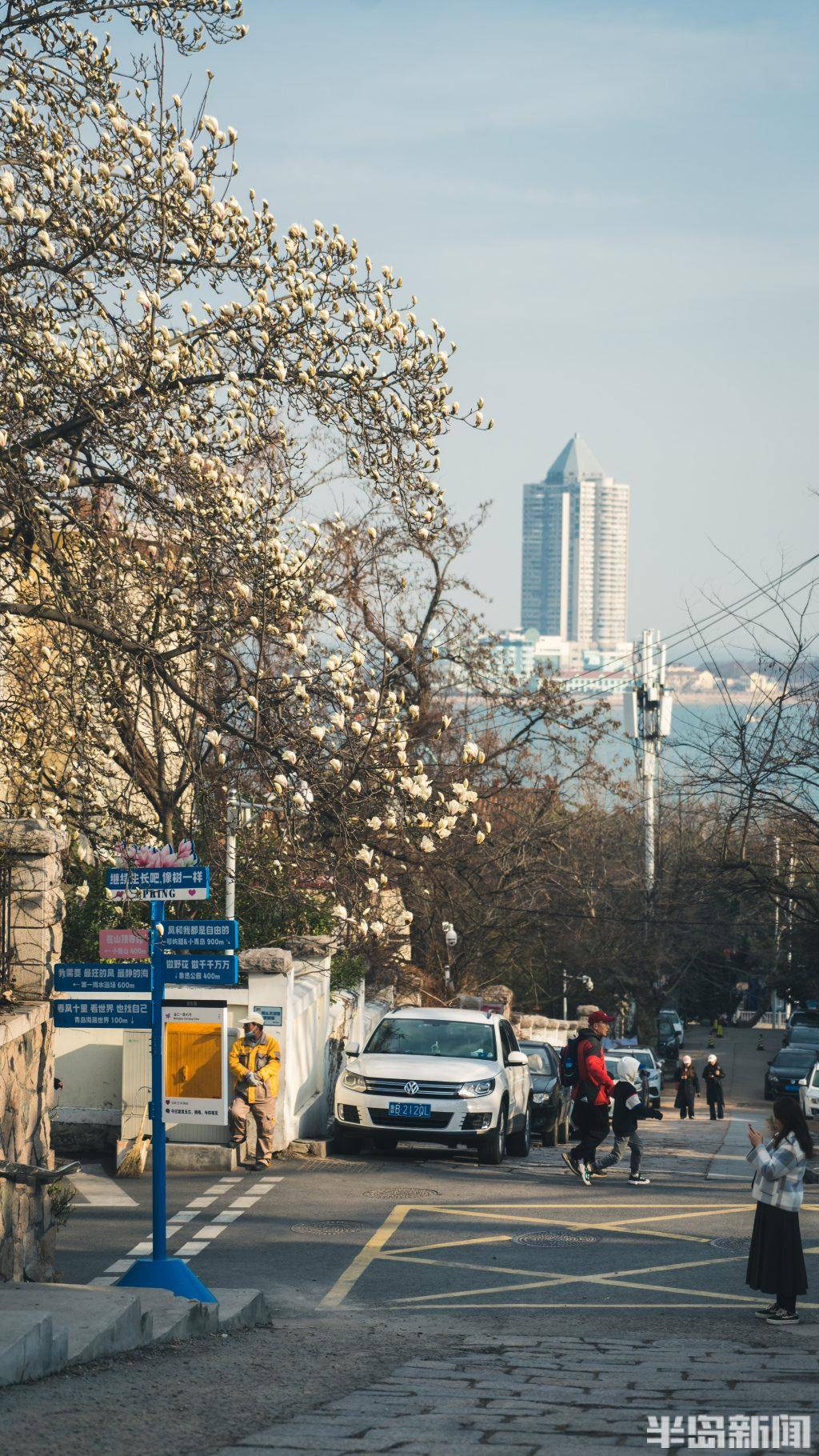 这棵玉兰所在的位置在小鱼山,第一海水浴场,海底世界,鲁迅公园的"十字