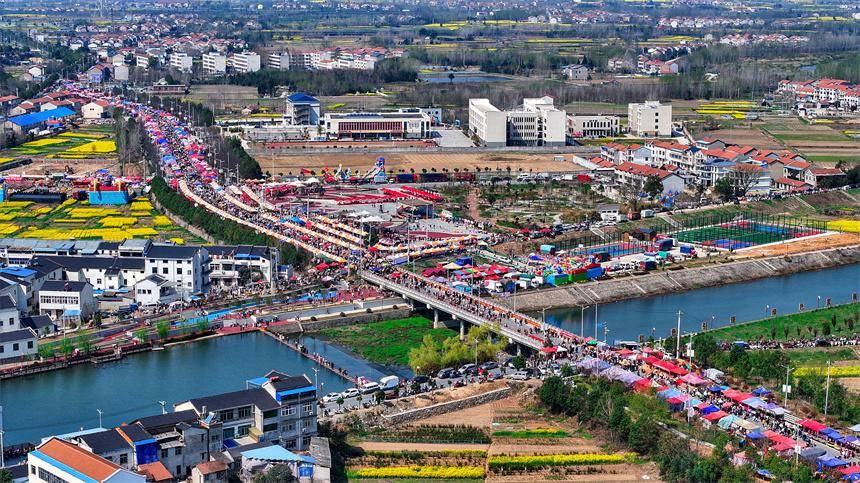 武汉新洲最是一年春好处旧街花朝探春风