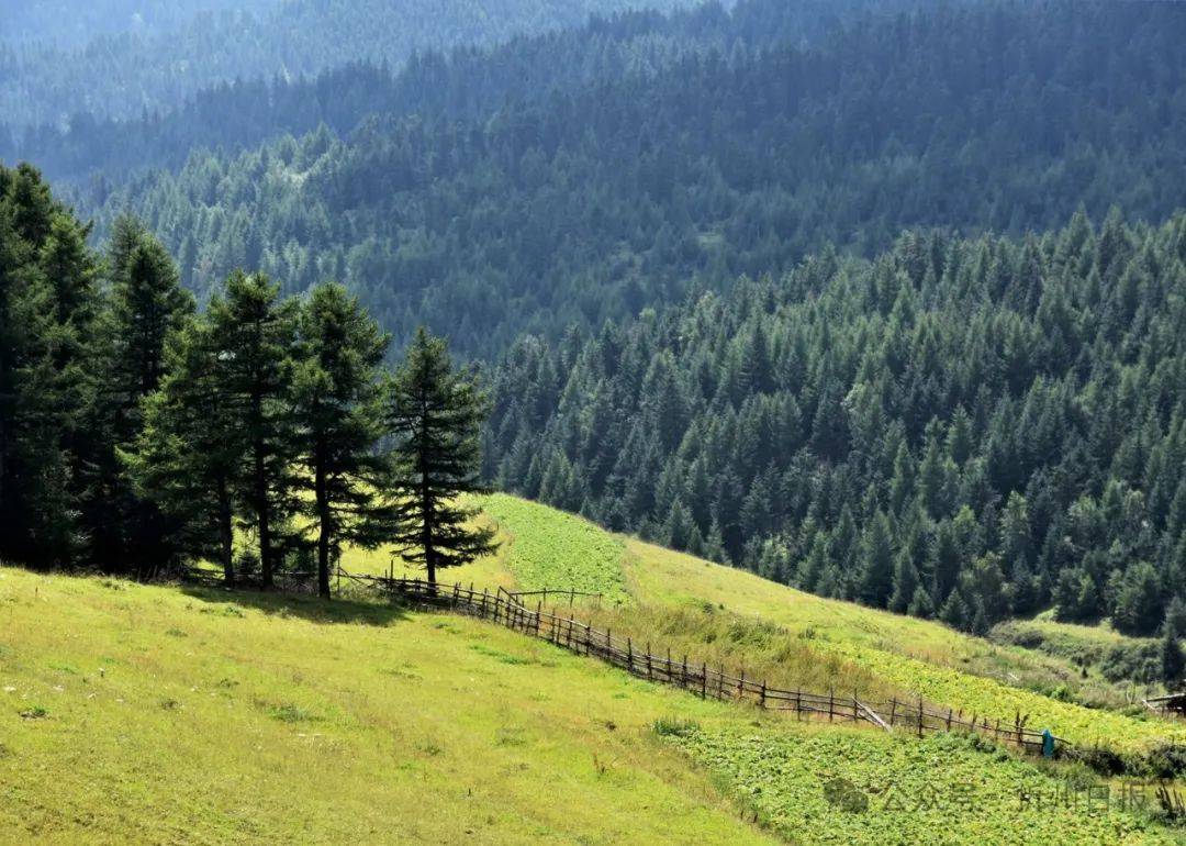 两会特刊神池县砥砺奋进抓落实扬帆启航新征程