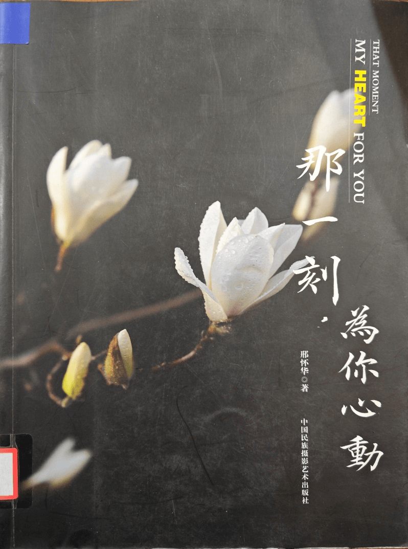 社会大美育时光机重返过去的瞬间
