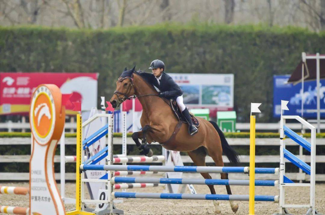 图集中马协骑手分级考核场地障碍及盛装舞步项目圆满落幕