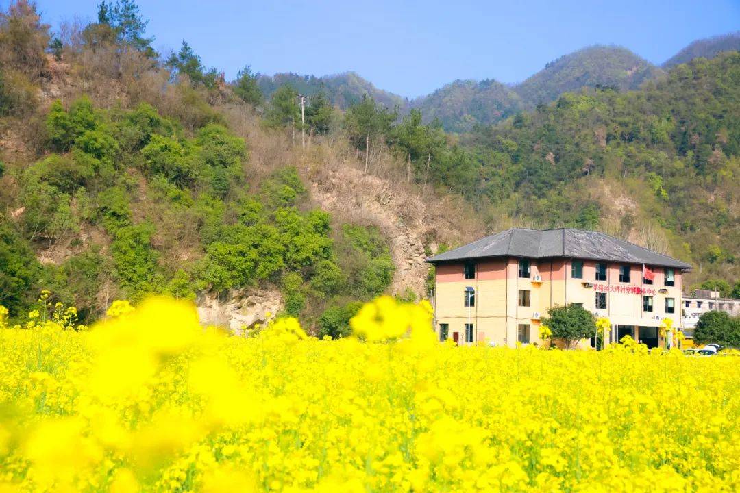 十堰茅箭:接下来,我要进入花花世界!_东沟村_景区_茅塔乡