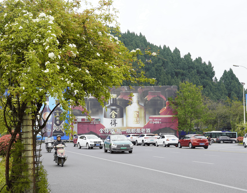 好美遂宁七里香打卡宝地这周过了就没了