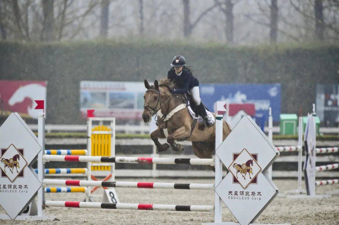 图集中马协骑手分级考核场地障碍及盛装舞步项目圆满落幕