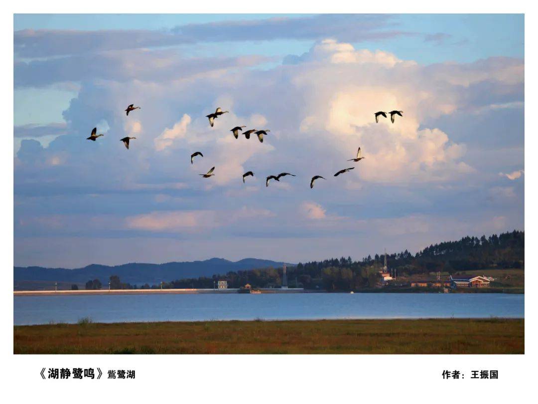 辽源鴜鹭湖图片