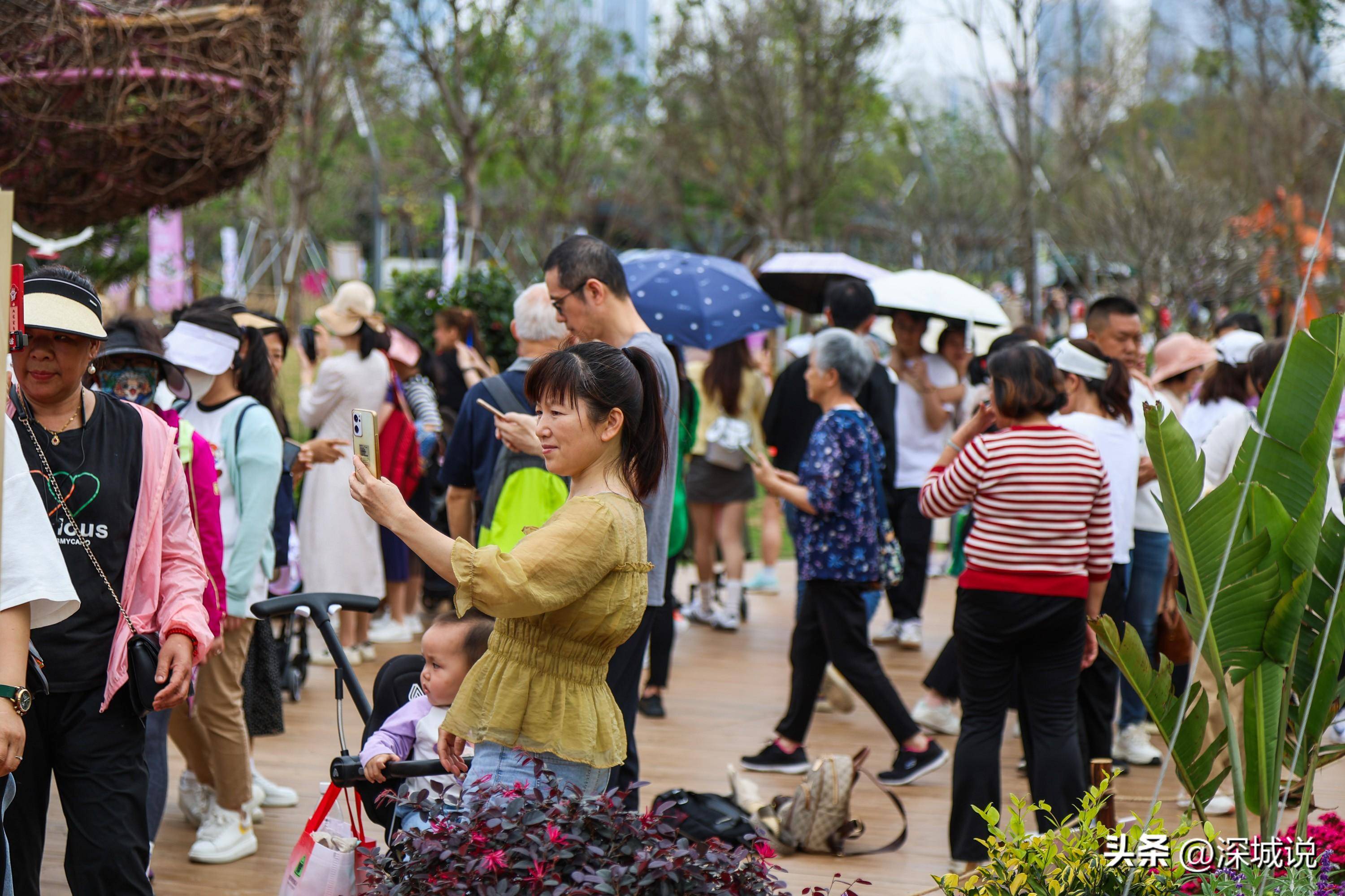 大湾区花展人气旺平日人潮也不少公园处处繁花似锦惹人爱