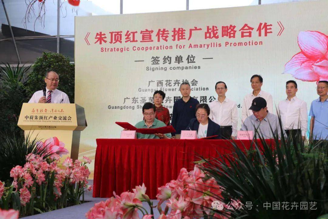 交流活动邀请了荷兰·杨森海外中国区总经理宝贺深(i