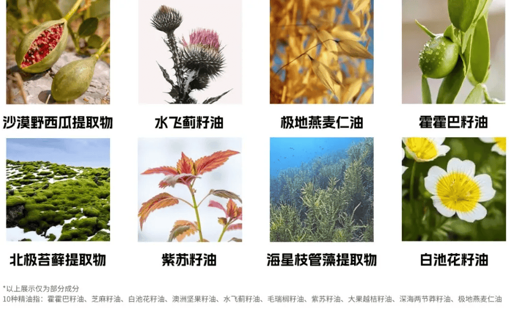 国货发明用油洗脸竟越洗越嫩肌肤无暇亮白年轻10岁