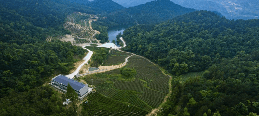 桐城市唐湾镇旅游景点图片