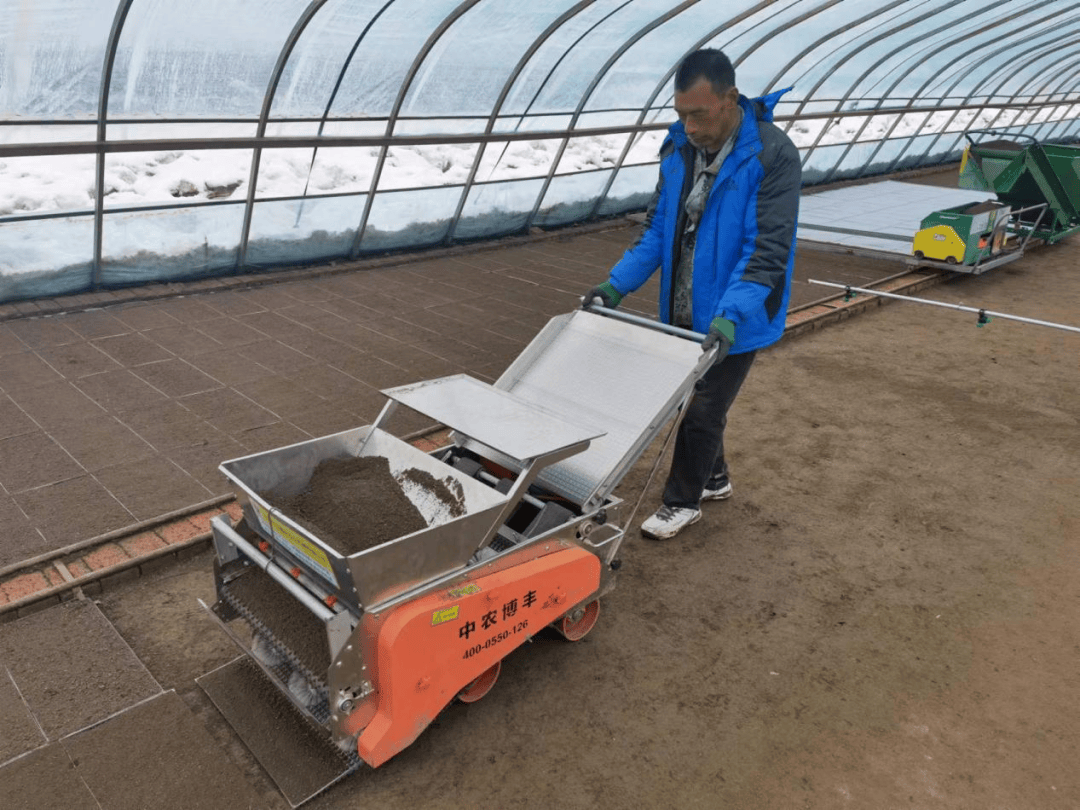 春耕进行时第四管理区组织种植户开展水稻苗床摆盘覆土作业