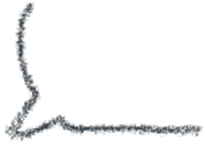 真实故事先天残疾出身农村在网络做副业第3年时就实现年入百万