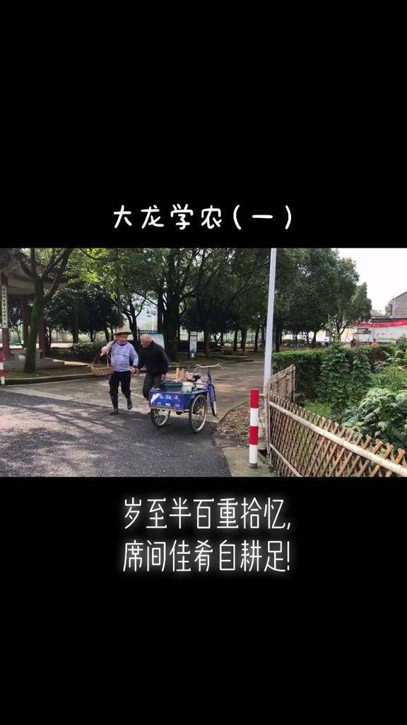 原生态乡村生活 田园生活 渔樵耕读 绍兴莲花落史大龙 陌上风起