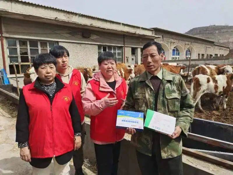 方山县三区科技服务团持续助力当地肉牛产业发展