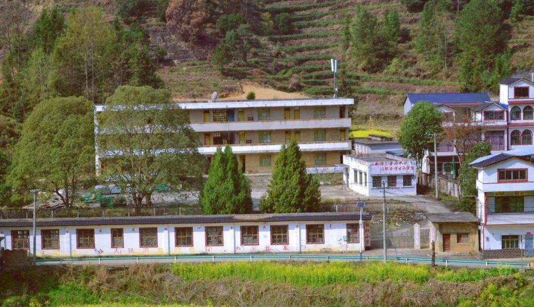 活动报名生态坝羊幸福茶乡欢迎你走进100个美丽乡村第39站紫云坝羊新