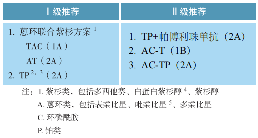 乳腺癌术前的新辅助治疗