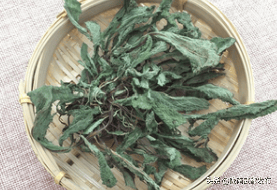 农村常见的野草人称蛤蟆草又被称为万能草60元一斤