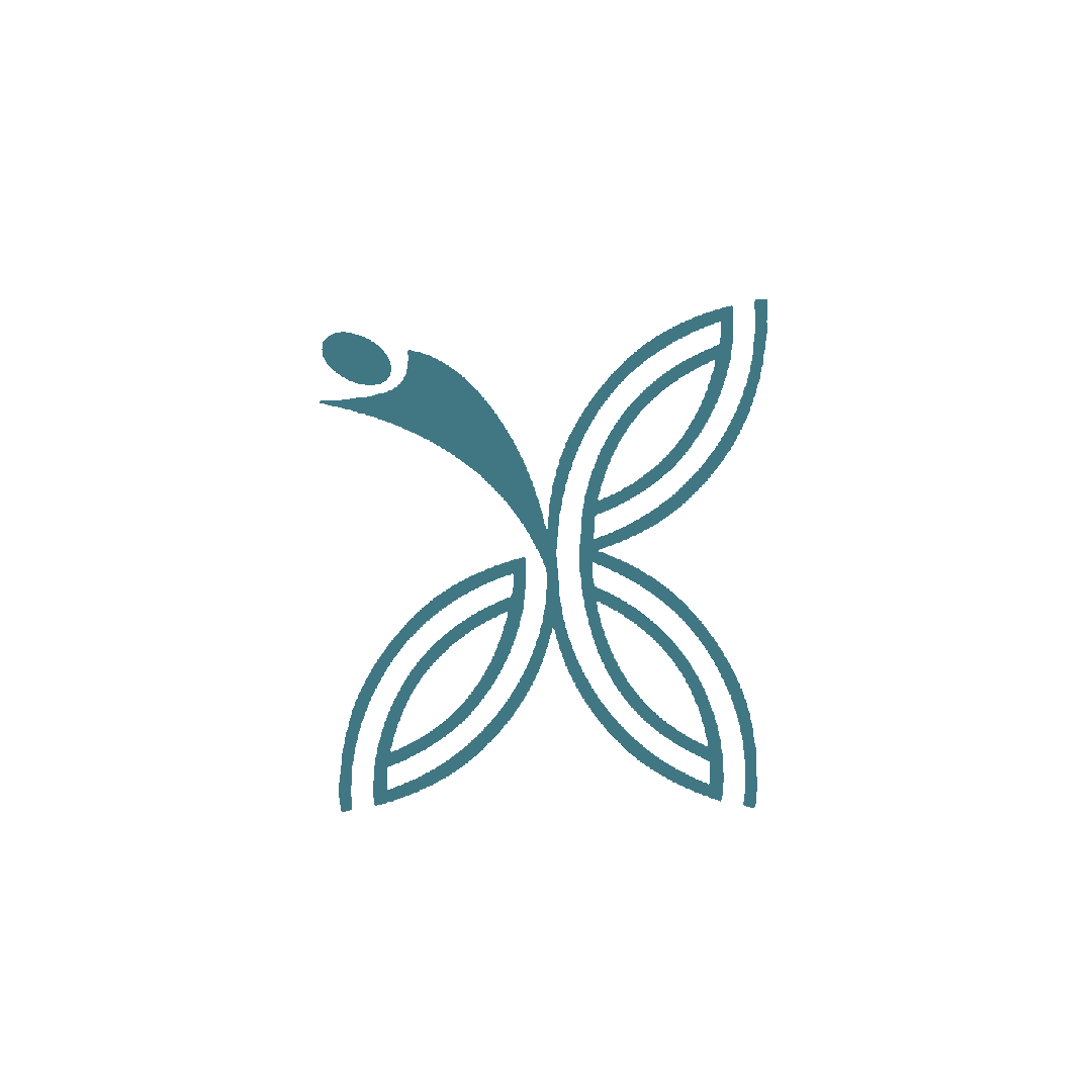 韩裔美籍科幻理论家朱瑞瑛(seo-young chu)在其著作do metaphors