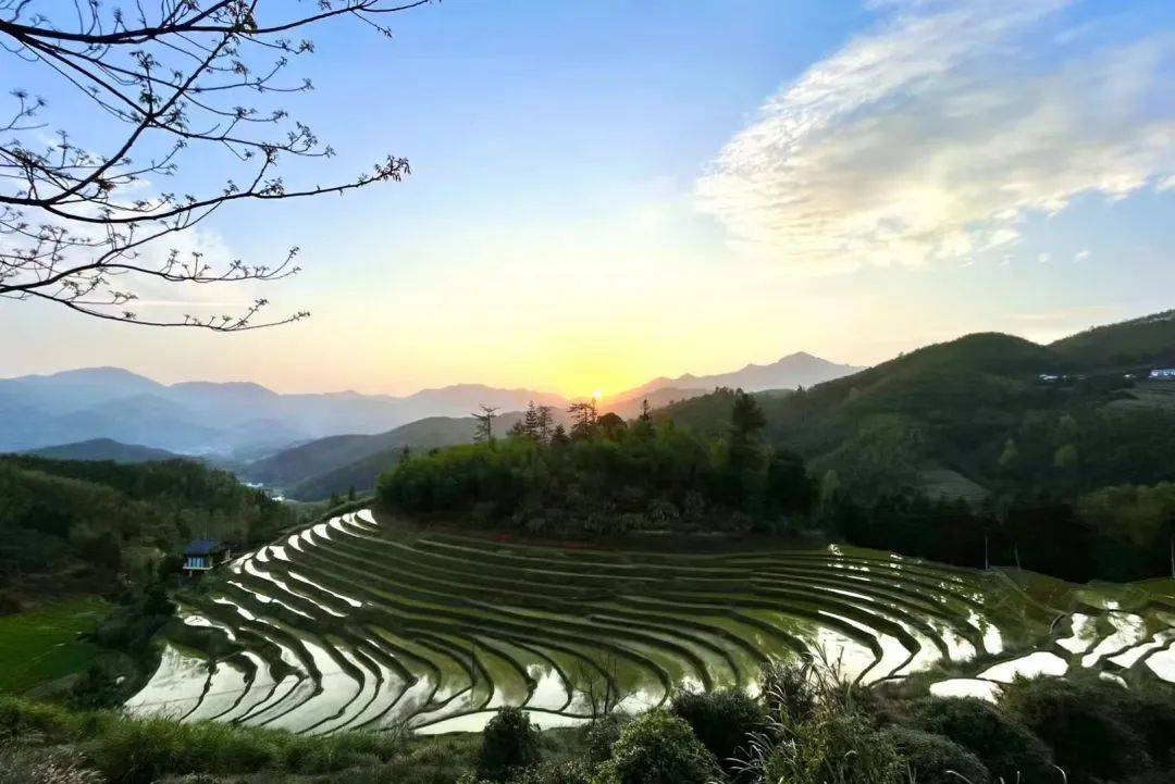 活动时间:4月4日—4月6日活动地点:上堡梯田景区主办单位:江西明城