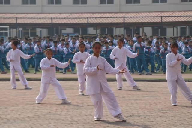 中华武术进校园强我少年