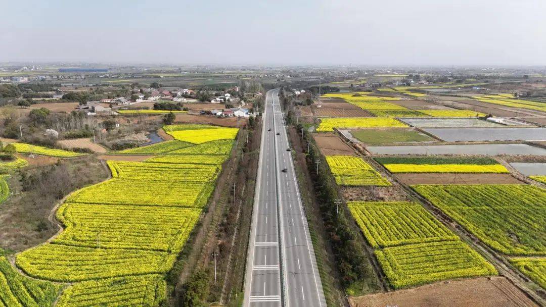 一路生花游当阳四方春景尽入画