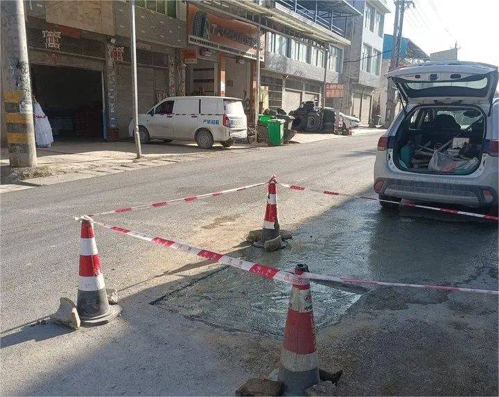 扮靓国省道春养正当时