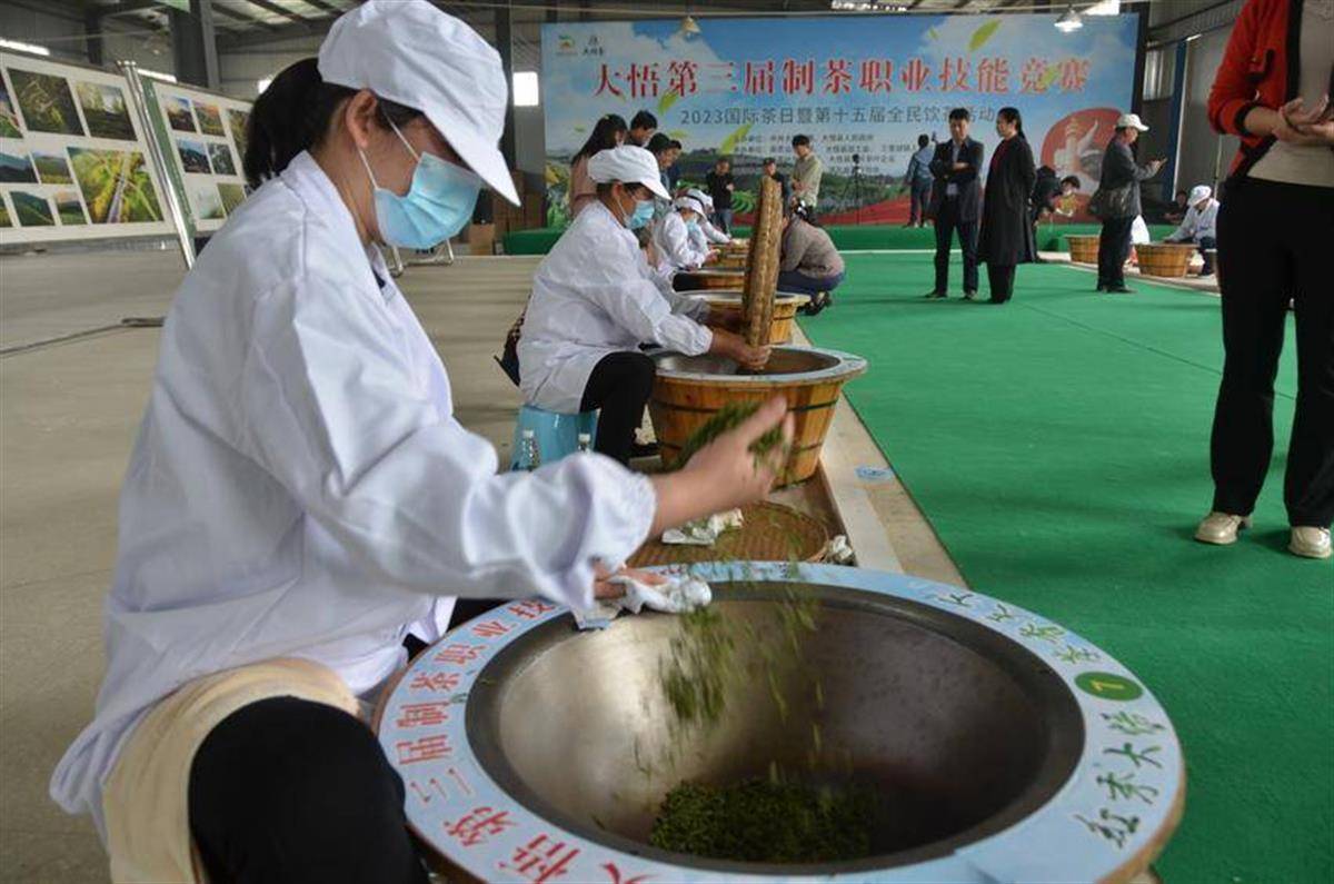 又是一年茶飘香湖北大悟30万亩春茶开始采摘(图1)