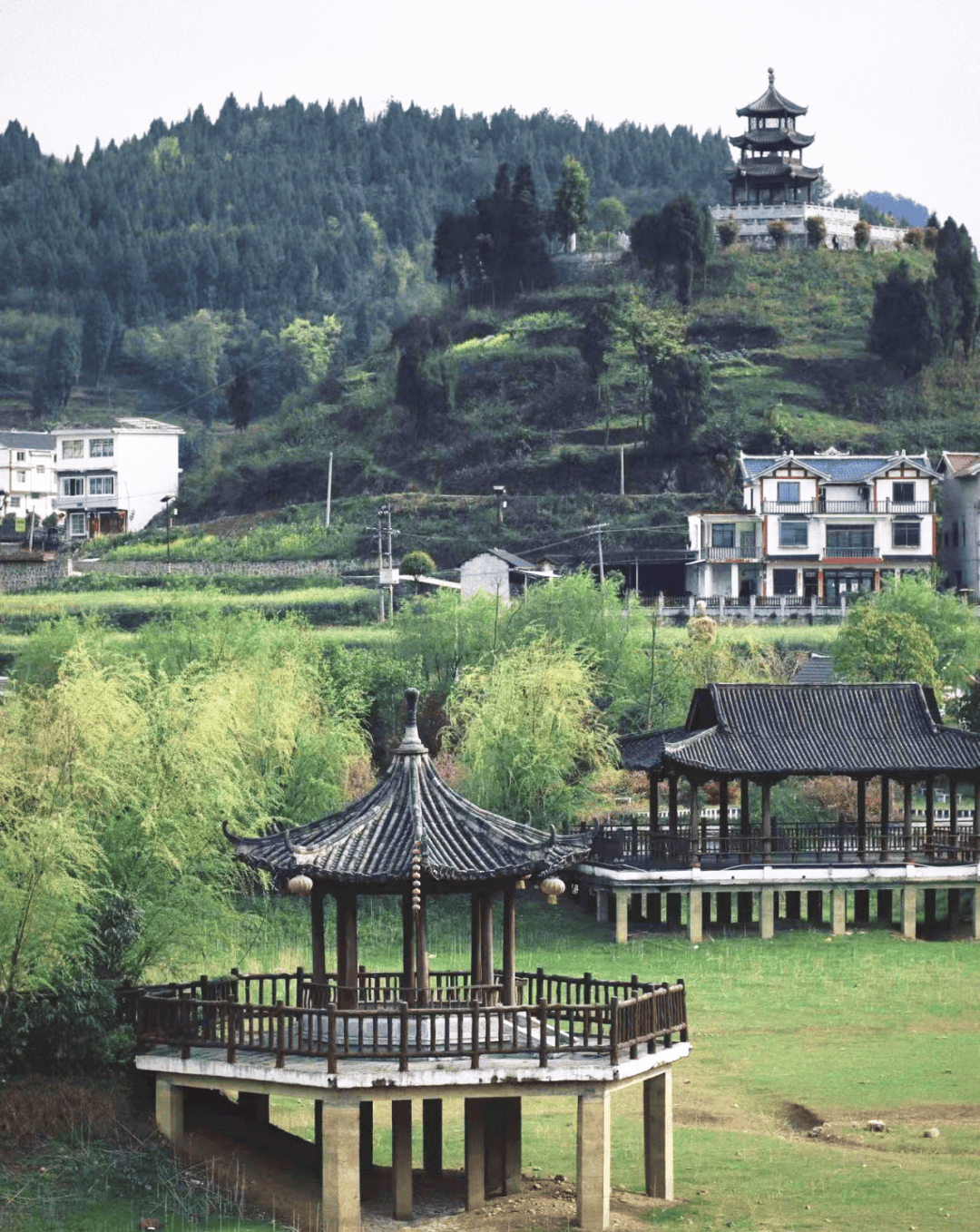 来贵州 上春山 | 来播州这里 ,踏青赏花春游正当时!__