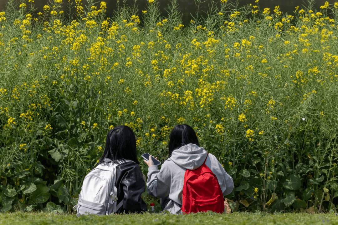 颜值大比拼福州高校校花曝光