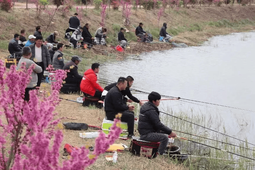 乡村好时节乐动生活2024小留镇乡村文化旅游节泉水叮咚垂钓比赛公告