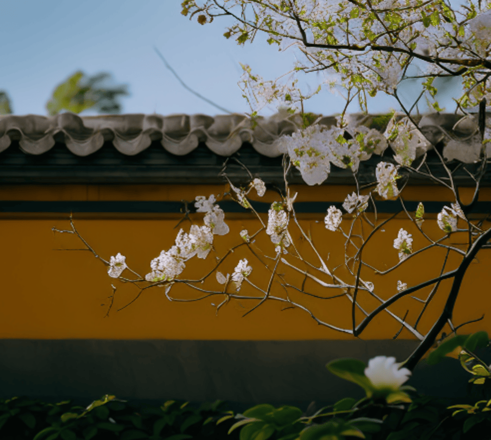 山寺桃花图片欣赏图片