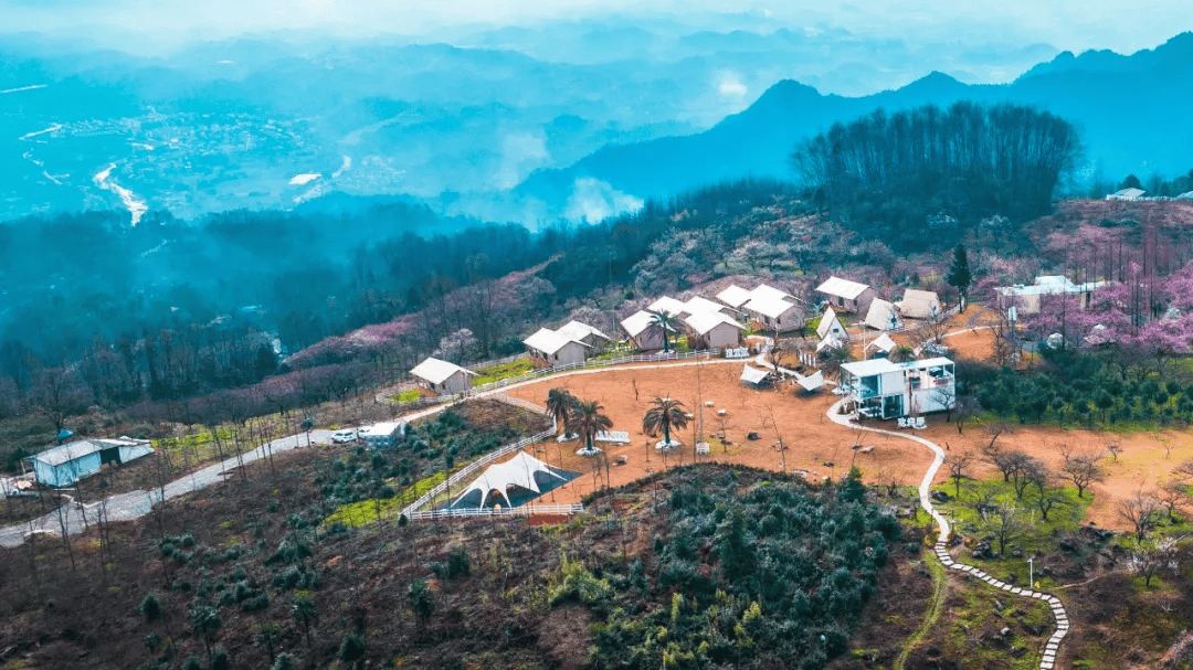 繁花已上线莫负好春光鹤鸣春日赏花带你住进春天里