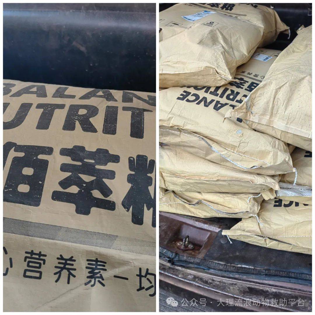 罗哥_小佳_因为