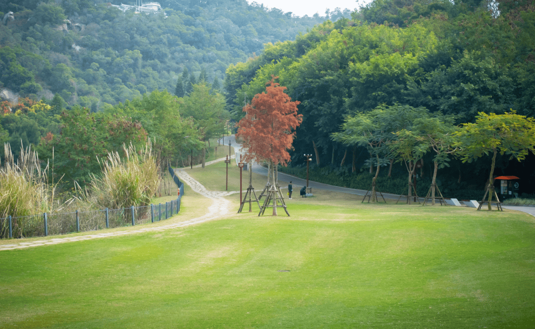 刚发现!厦门这些草坪露营野餐!我先冲了→_公园_海湾_营地