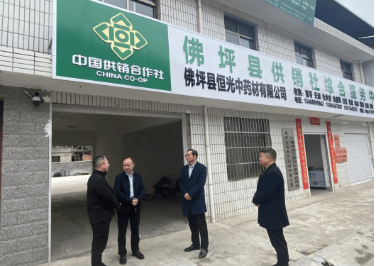 汉中市供销社党组书记,主任孙俊华到佛坪县调研供销社工作