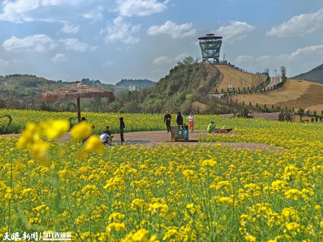 桐梓旅游热持续高涨