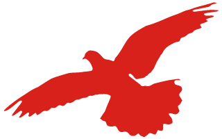 清明祭英烈丰碑砺青春丘北县各级团组织开展缅怀革命先烈传承红色精神