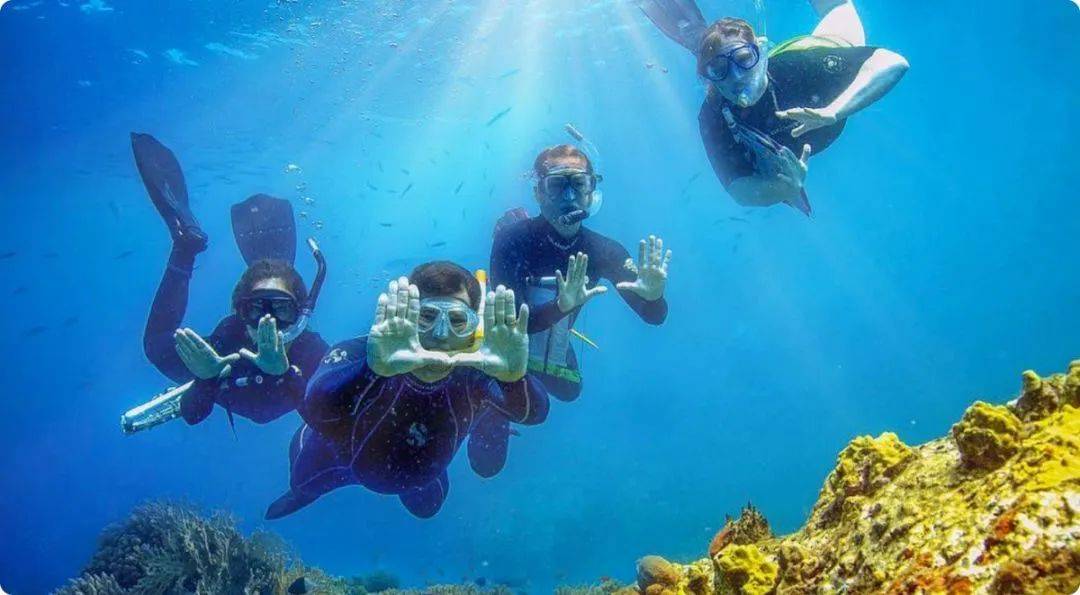 面朝大海春暖花开盘点拥有绝美海景的美国大学