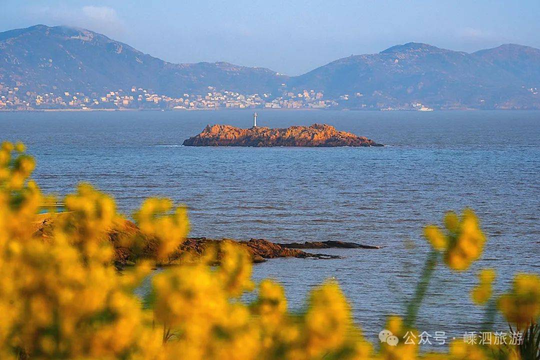 赏花地图收藏了周末春游泗礁岛又多了一个理由