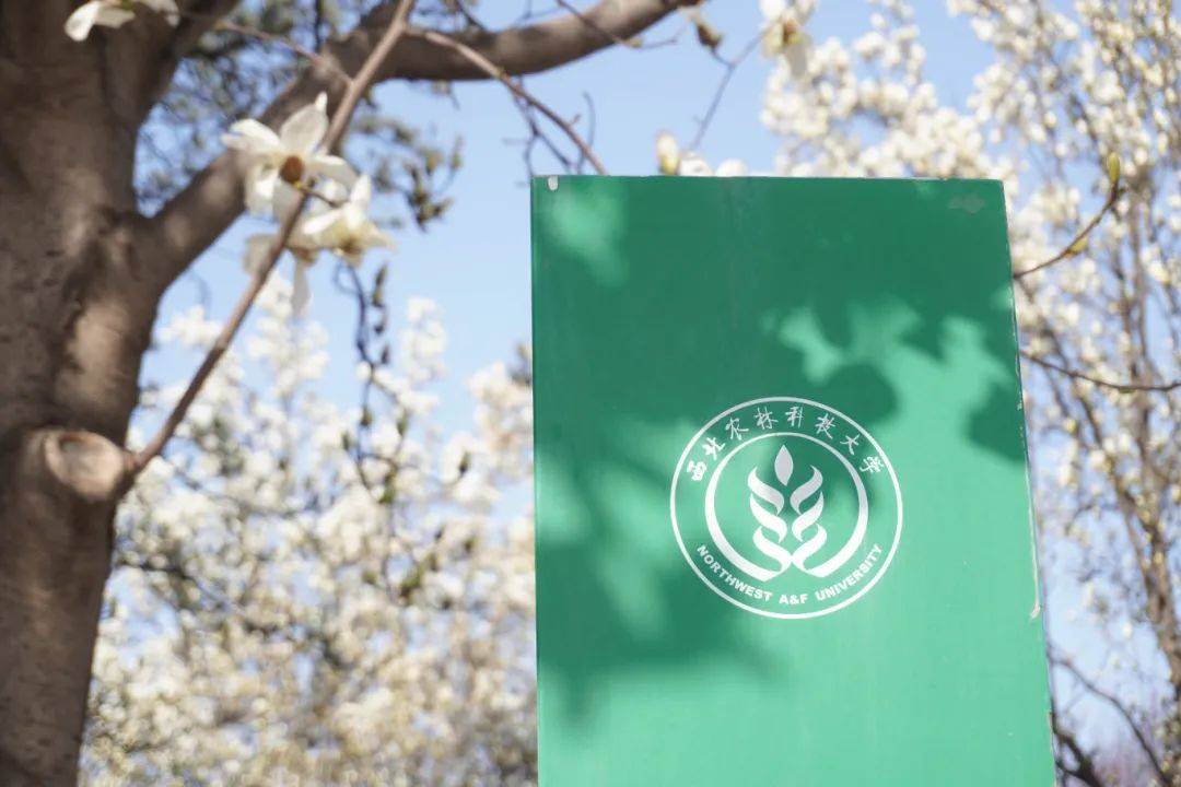 西农最前沿三月速递