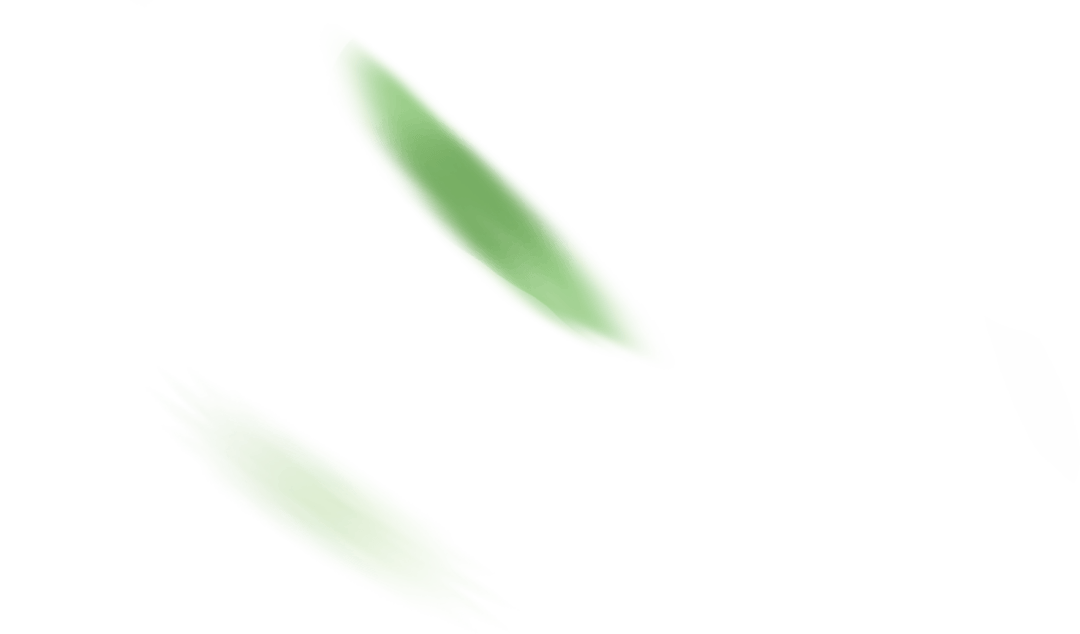 在泉州一口吃到整个春天